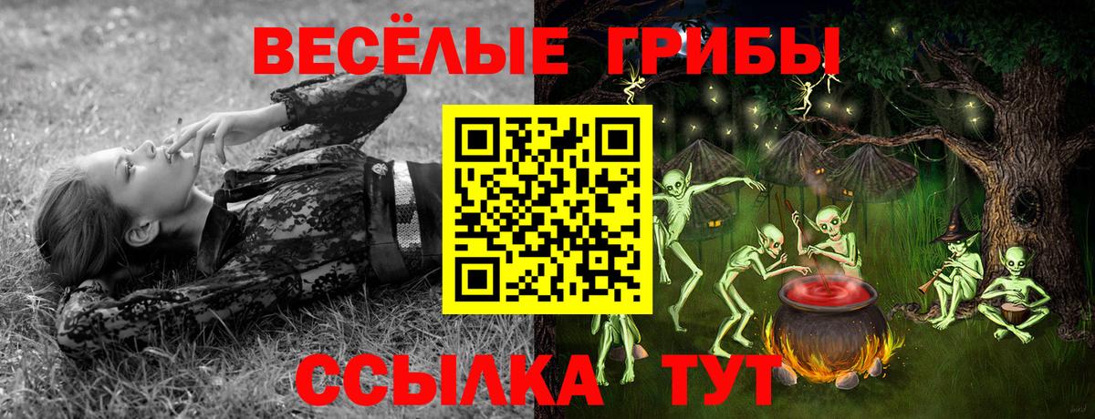 Псилоцибиновые грибы Psilocybe  Вход с VPN  наркота  Дятьково  Галлюциногенные грибы Psilocybine cubensis 