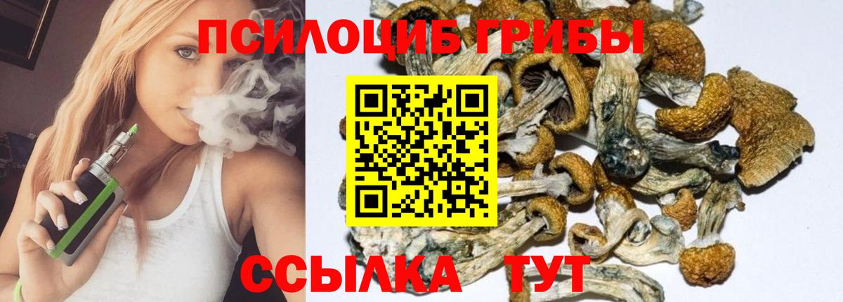 Псилоцибиновые грибы GOLDEN TEACHER Дятьково